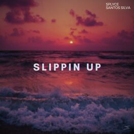 Album cover of Slippin Up