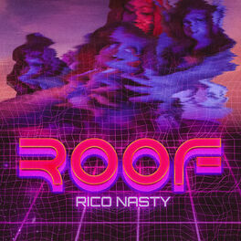 Album cover of Roof