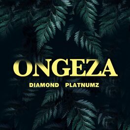 Album cover of Ongeza