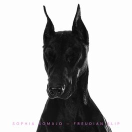 Album cover of Freudian Slip