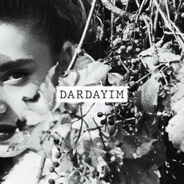 Album cover of Dardayım
