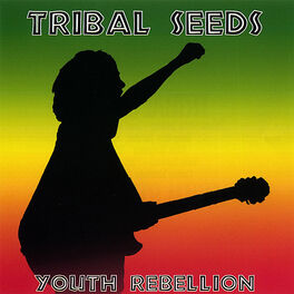 Album cover of Youth Rebellion