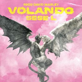 Album cover of Volando