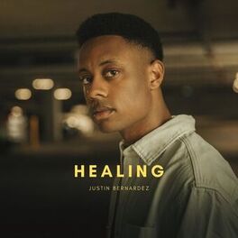 Album cover of Healing
