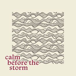 Album cover of Calm Before the Storm