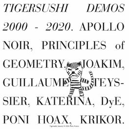 Album cover of TIGERSUSHI DEMOS 2000-2020