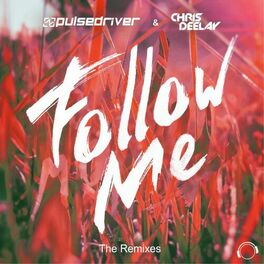 Album cover of Follow Me (The Remixes)