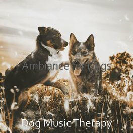 Album cover of Ambiance for Dogs