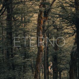 Album cover of ETERNO
