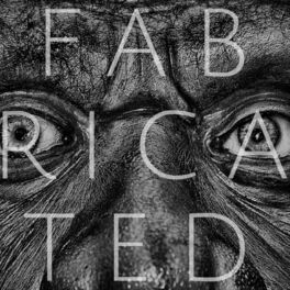 Album cover of Fabricated