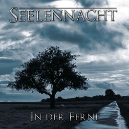 Album cover of In der Ferne (ReRelease)