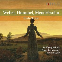 Album cover of Weber, Hummel, Mendelssohn: Flute Trios