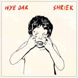 Album cover of Shriek