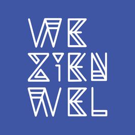 Album cover of WeZienWel Singles Vol. 2