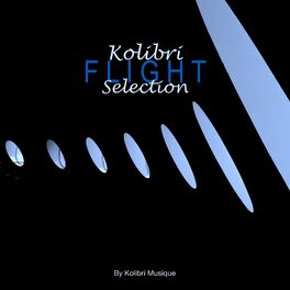 Album cover of Kolibri Flight Selection