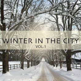 Album cover of Winter in the City, Vol. 1 (Jazz Flavored Chill out Tunes)