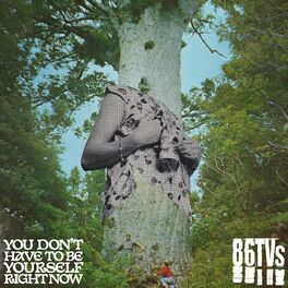 Album cover of You Don’t Have To Be Yourself Right Now