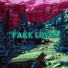 Album cover of Fake Loves
