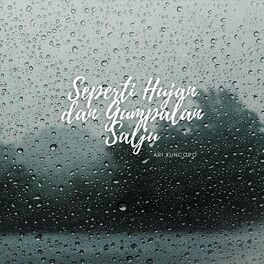Album cover of Seperti Hujan Dan Gumpalan Salju
