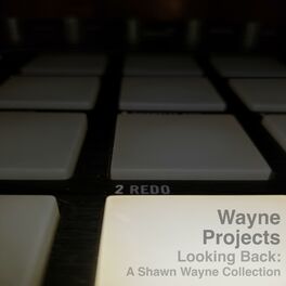 Album cover of Looking Back: A Shawn Wayne Collection