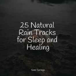 Album cover of 25 Natural Rain Tracks for Sleep and Healing