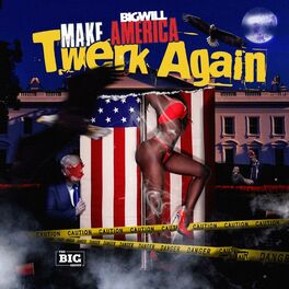 Album cover of Make America Twerk Again
