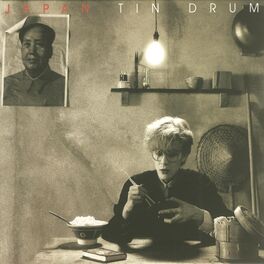 Album cover of Tin Drum
