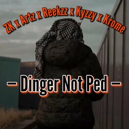 Album cover of Dinger Not Ped (feat. ZK, Artz, Reekzz & Kyzzy)
