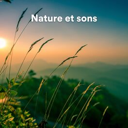 Album cover of Nature et sons