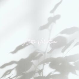 Album cover of 纯白色情人节