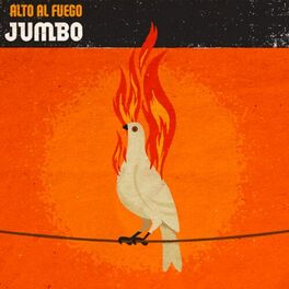 Album cover of Alto al Fuego