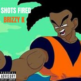 Album cover of SHOTS FIRED