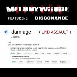 Album cover of Damage (2nd Assault)