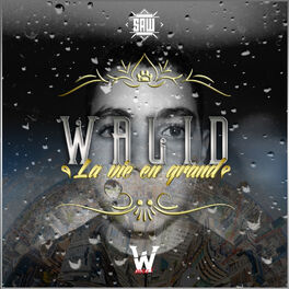 Album cover of La vie en grand