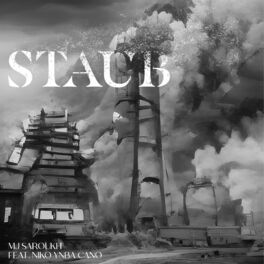 Album cover of STAUB