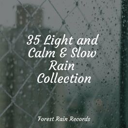 Album cover of 35 Light and Calm & Slow Rain Collection