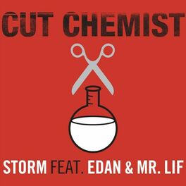 Album cover of Storm (feat. Edan And Mr. Lif)