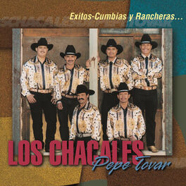 Album cover of Exitos Cumbias y Rancheras