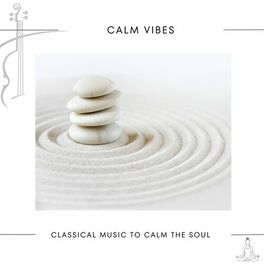 Album cover of Calm Vibes
