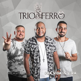 Album cover of Pra Vida Inteira