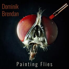 Album cover of Painting Flies
