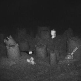 Album cover of Sandcastle