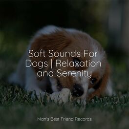 Album cover of Soft Sounds For Dogs | Relaxation and Serenity