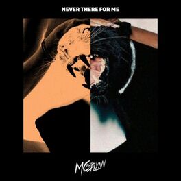 Album cover of Never There for Me (feat. Kamikarzy)
