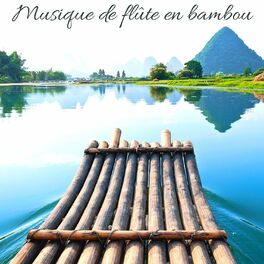 Album cover of Musique de flûte en bambou: Bruits de pluie Guérison des chakras, Nettoyer l'énergie négative, Méditation, Yoga