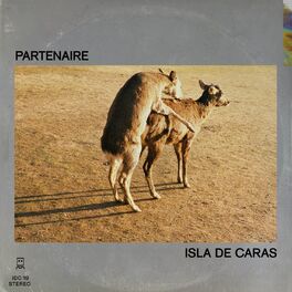 Album cover of Partenaire