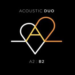 Album cover of A2: B2