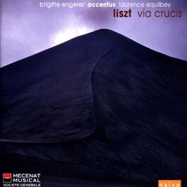 Album cover of Liszt: Via Crucis