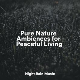 Album cover of Pure Nature Ambiences for Peaceful Living