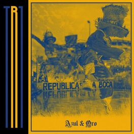 Album cover of Azul y Oro